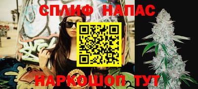 трава Камышлов