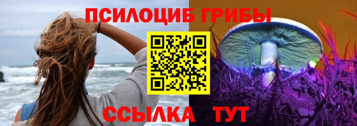 Кимры  Псилоцибиновые грибы Psilocybine cubensis  Вход с VPN 